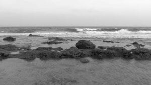 Intertidal zone Lakshadweep