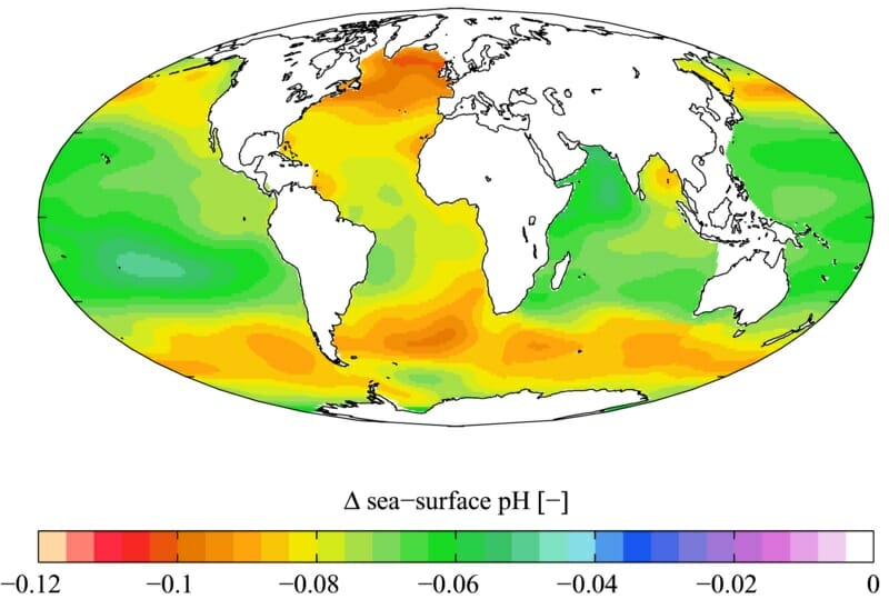 Climatic Effect on Marine Biodiversity and their impact on coral