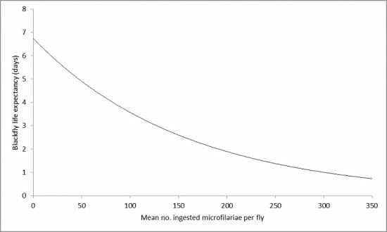 Blackfly life expectancy