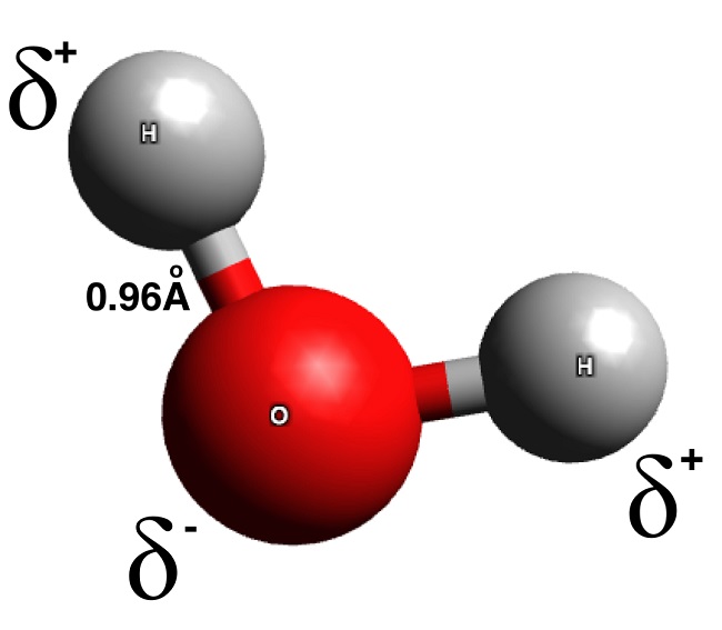 representation of a water molecule