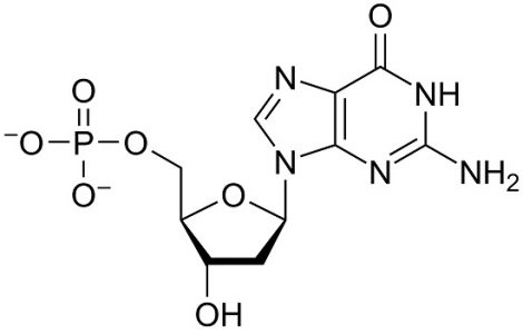Desoxyguanosine monophosphate