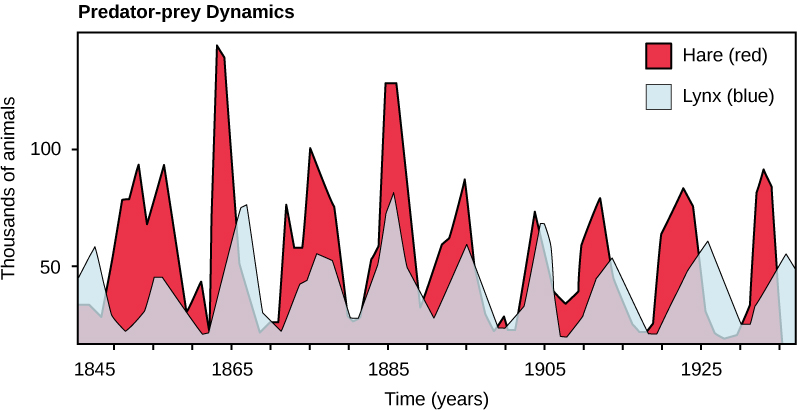 study of predator vs prey relationships wikipeida