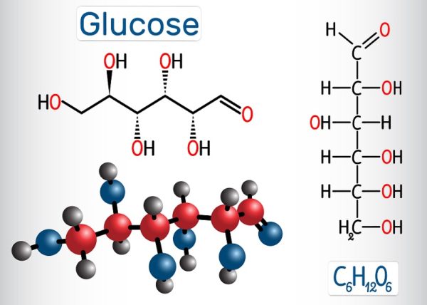 [LS1-7] Cellular Respiration and Energy | Biology Dictionary