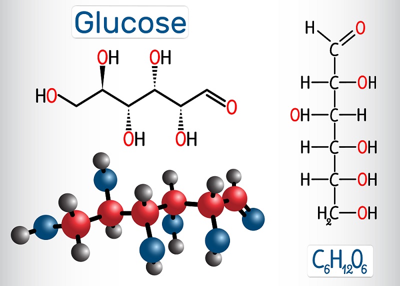 free download glucose structure