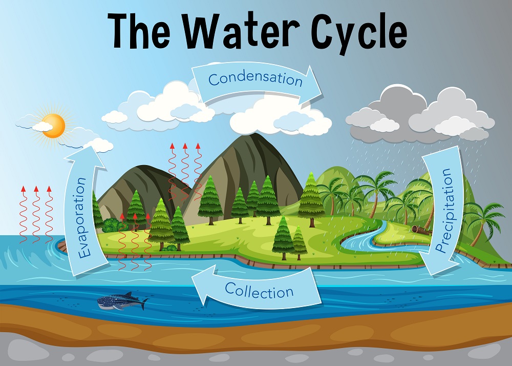 simple presentation water cycle