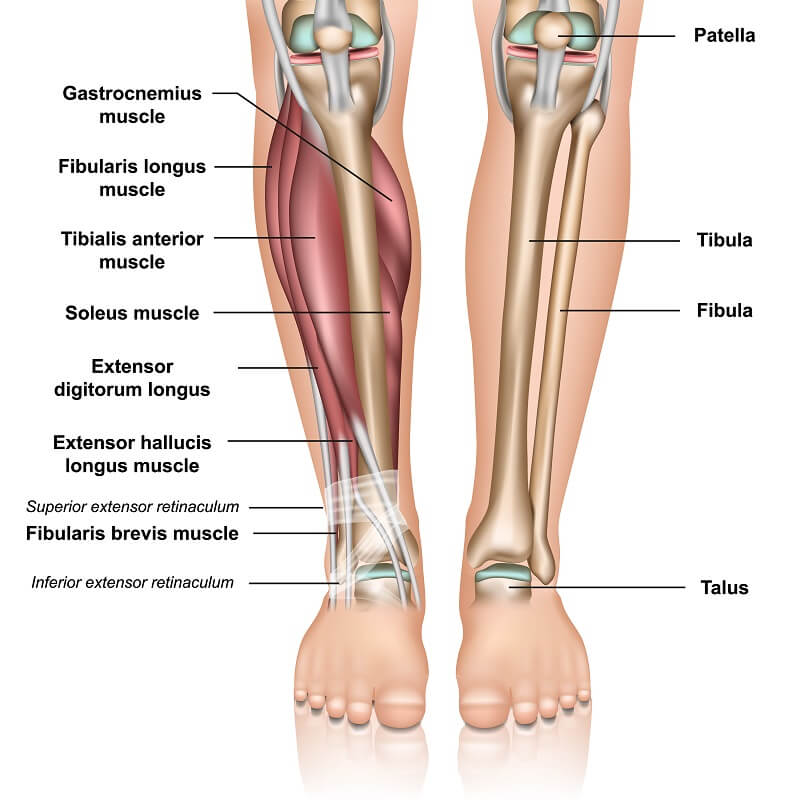 ankle pain with plantar flexion