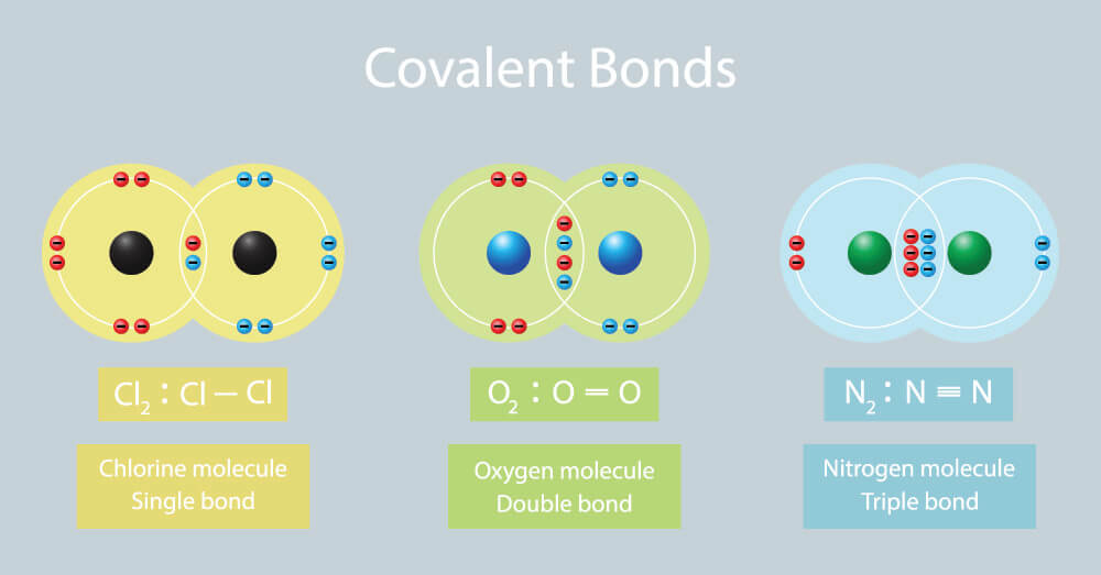 How To Draw A Covalent Bond Form