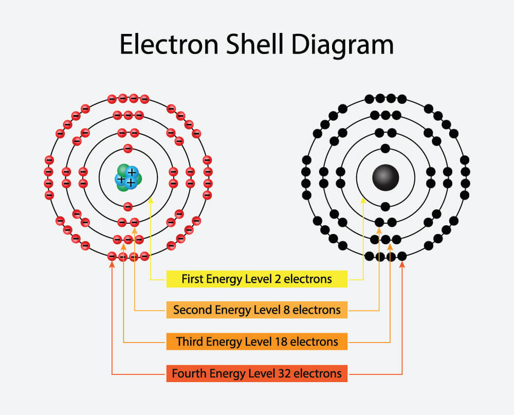 Covalent Bond Biology Dictionary