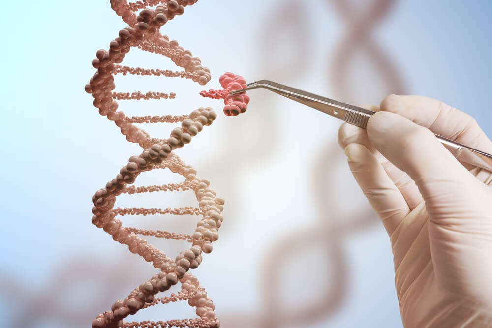 Tips for Making the Most of Genetic Engineering