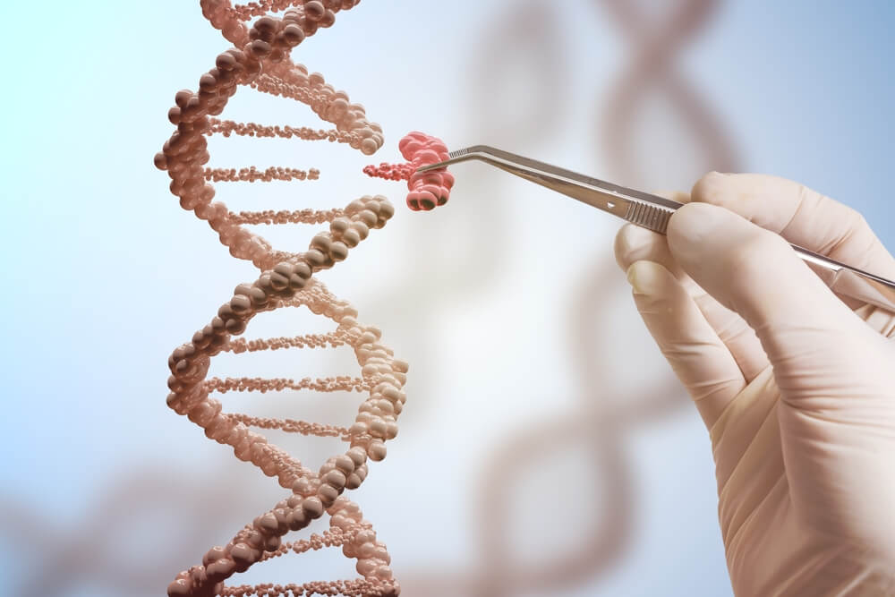 What Is A Genetic Engineering Application