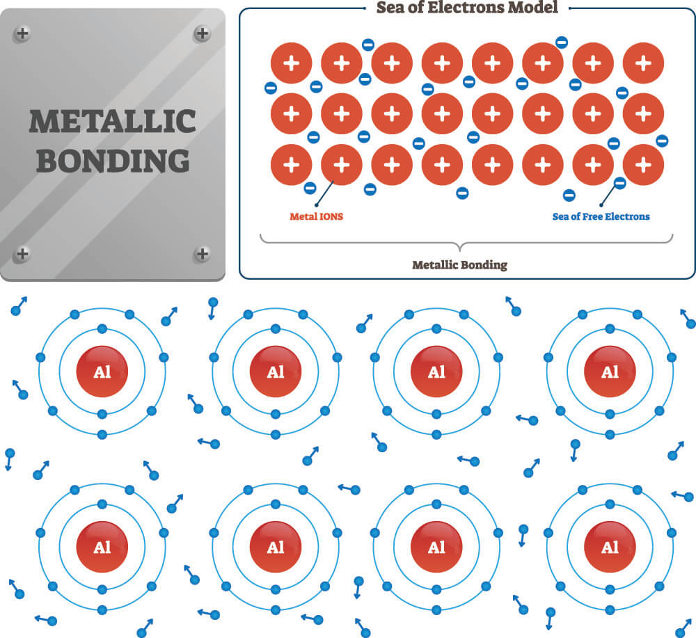 covalent-bond-biology-dictionary