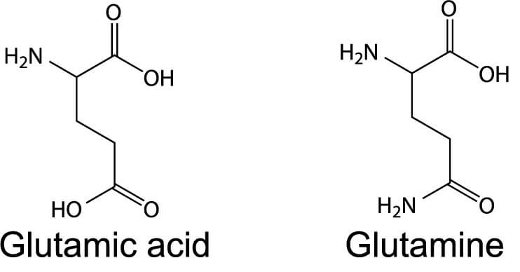 glutamate structure