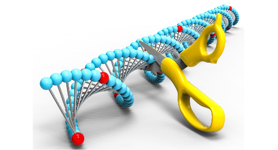 restriction-enzymes