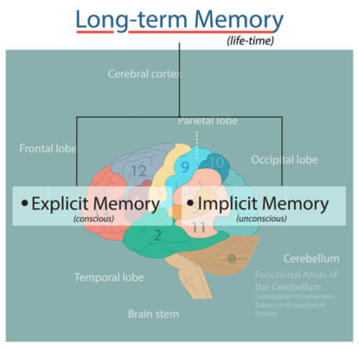 Semantic memory deficits are associated with pica in individuals