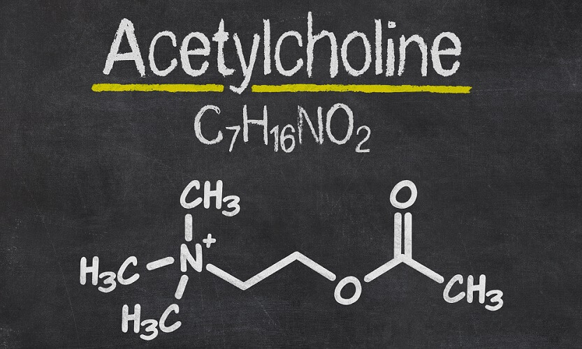 botulinum toxin nikotin patkány