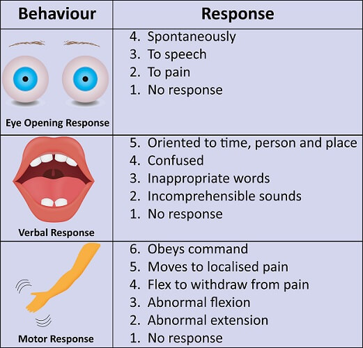 Non Chiaro Opportunit Scarico Glasgow Coma Scale Coma Score 