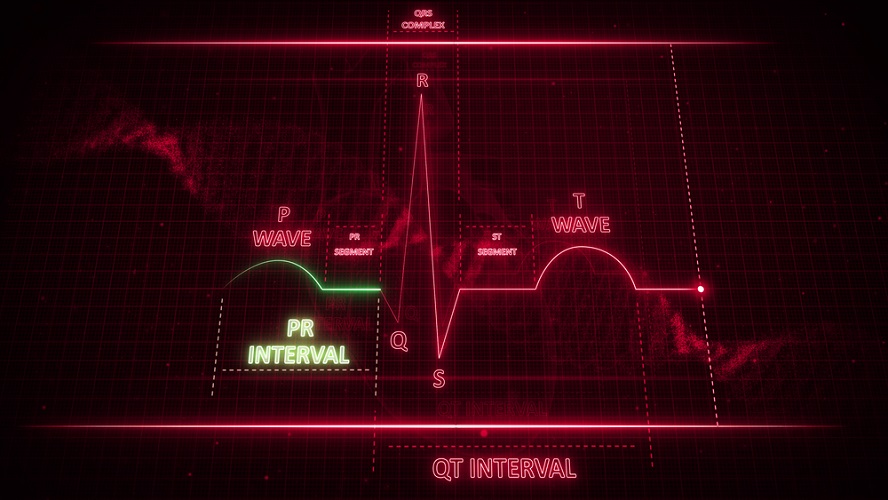 pr-interval-the-definitive-guide-biology-dictionary