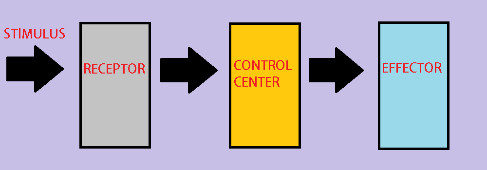 examples of control mechanisms