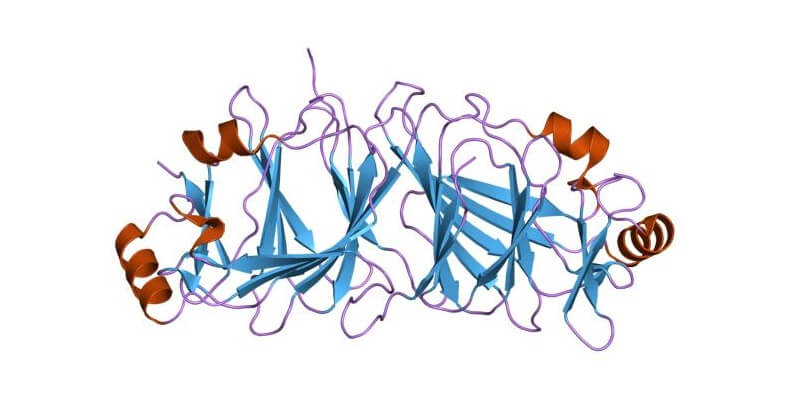 g6p isomerase enzyme glucose 6-phosphate