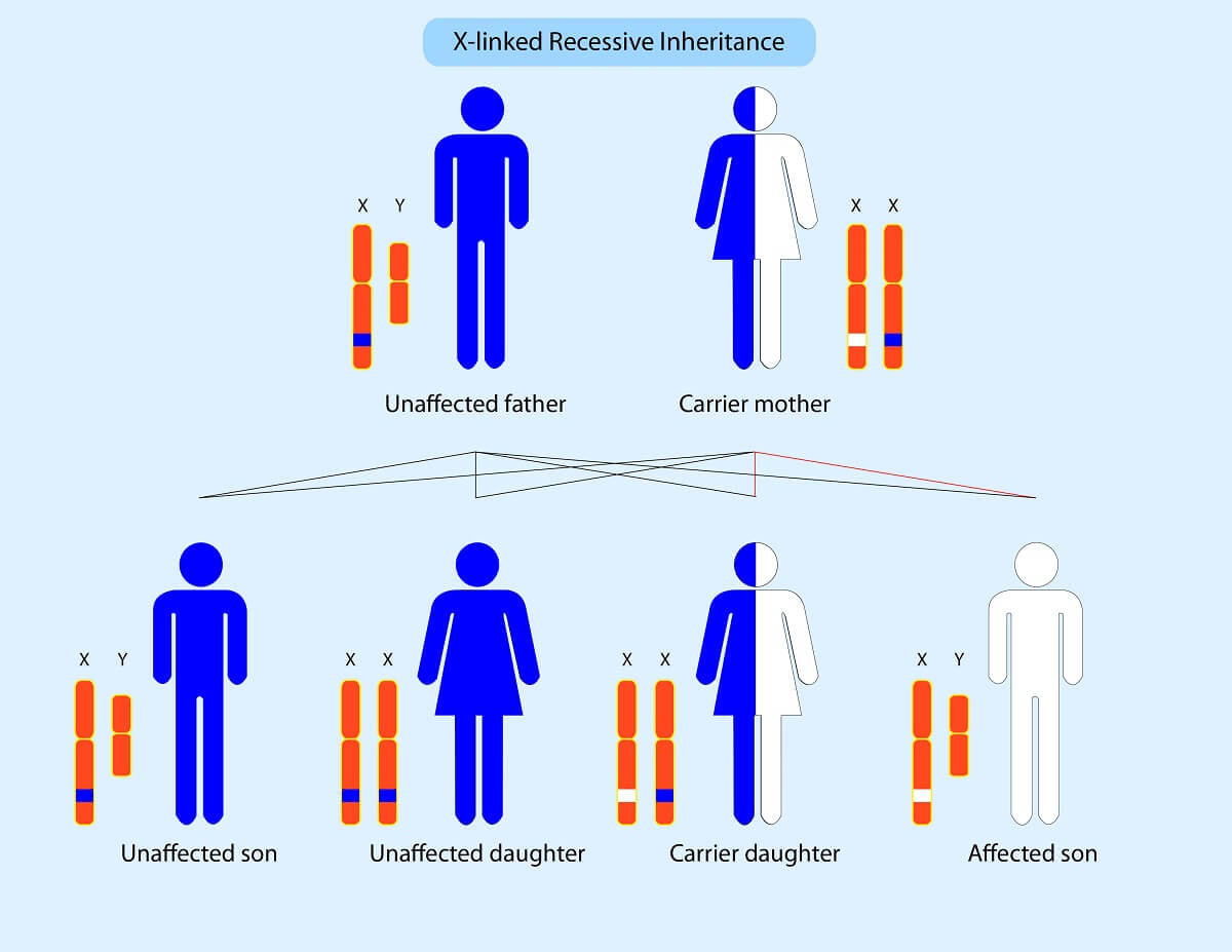 what does it mean to have a dominant gene