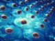 Embryonic Stem Cells - The Definitive Guide