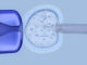 Embryonic Stem Cells - The Definitive Guide